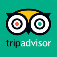 TripAdvisor Hotels Flights Restaurants Attractions